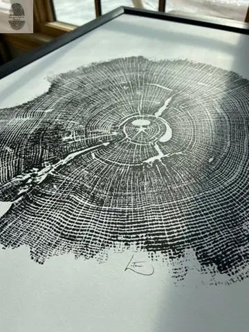 Williamsburg, Virginia Oak - 18x24 inch print