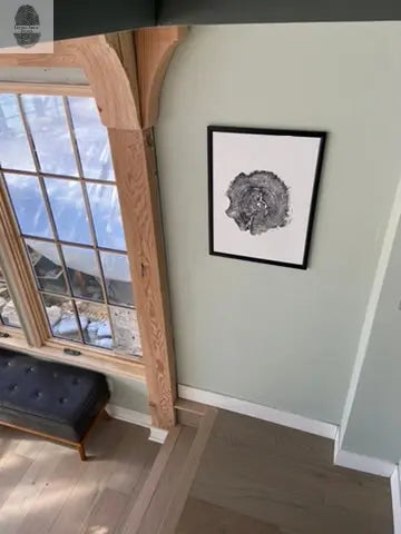 Williamsburg, Virginia Oak - 18x24 inch print