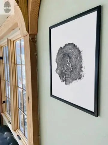 Williamsburg, Virginia Oak - 18x24 inch print