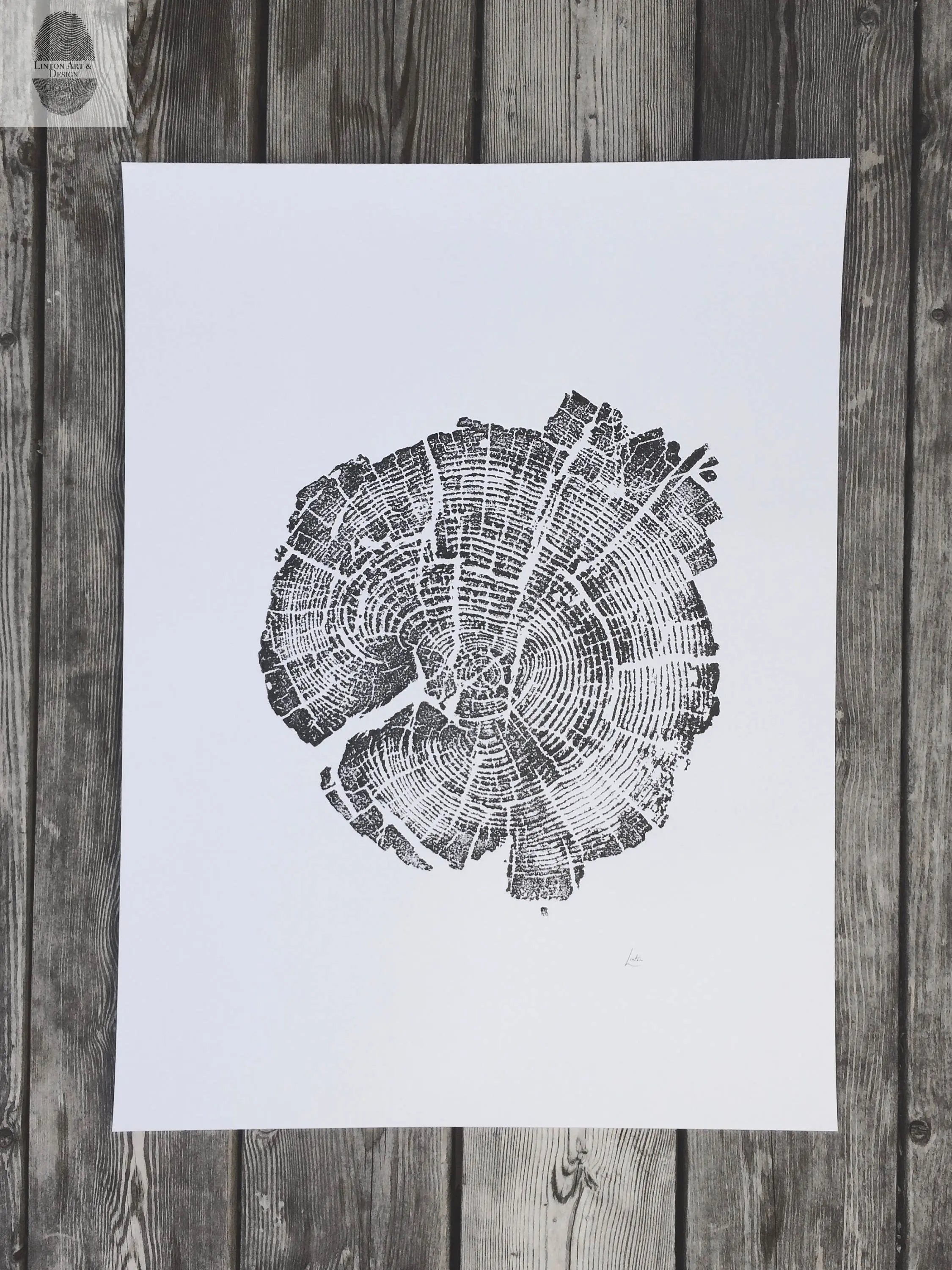 Yellowstone Pine - 18x24 print