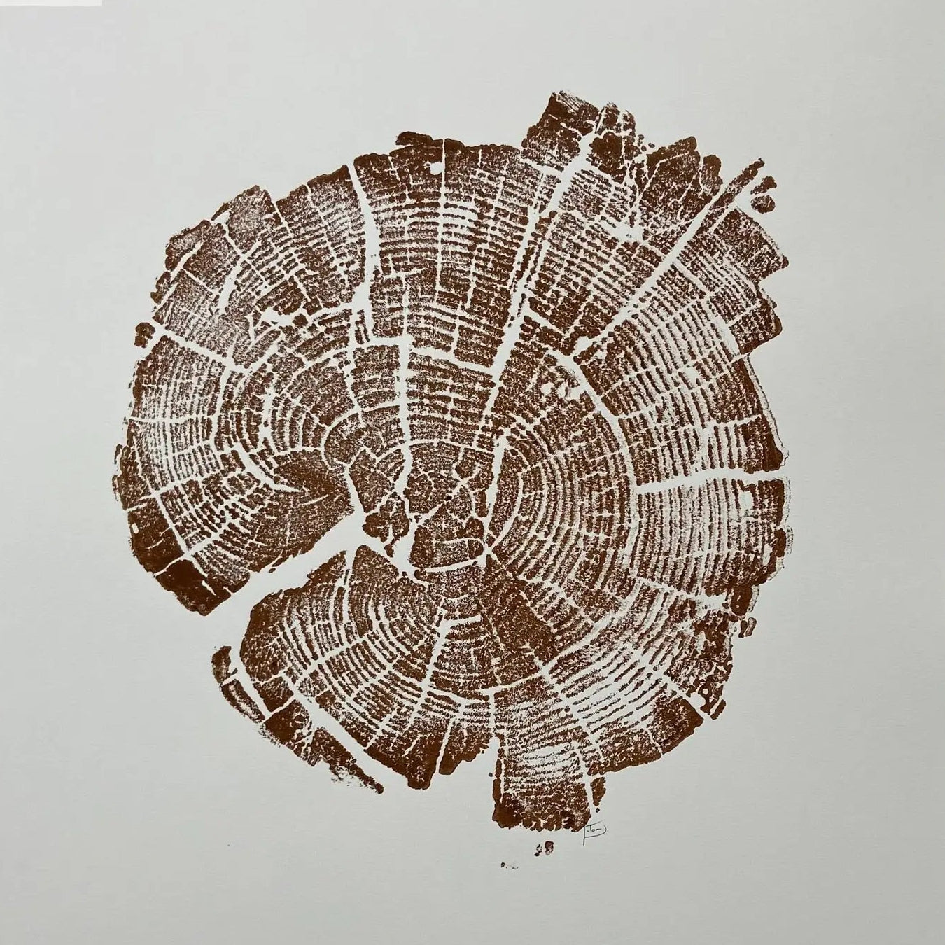 Yellowstone Tree Ring Print in Brown Ink 11x14 inches - Hand Pressed Woodblock
