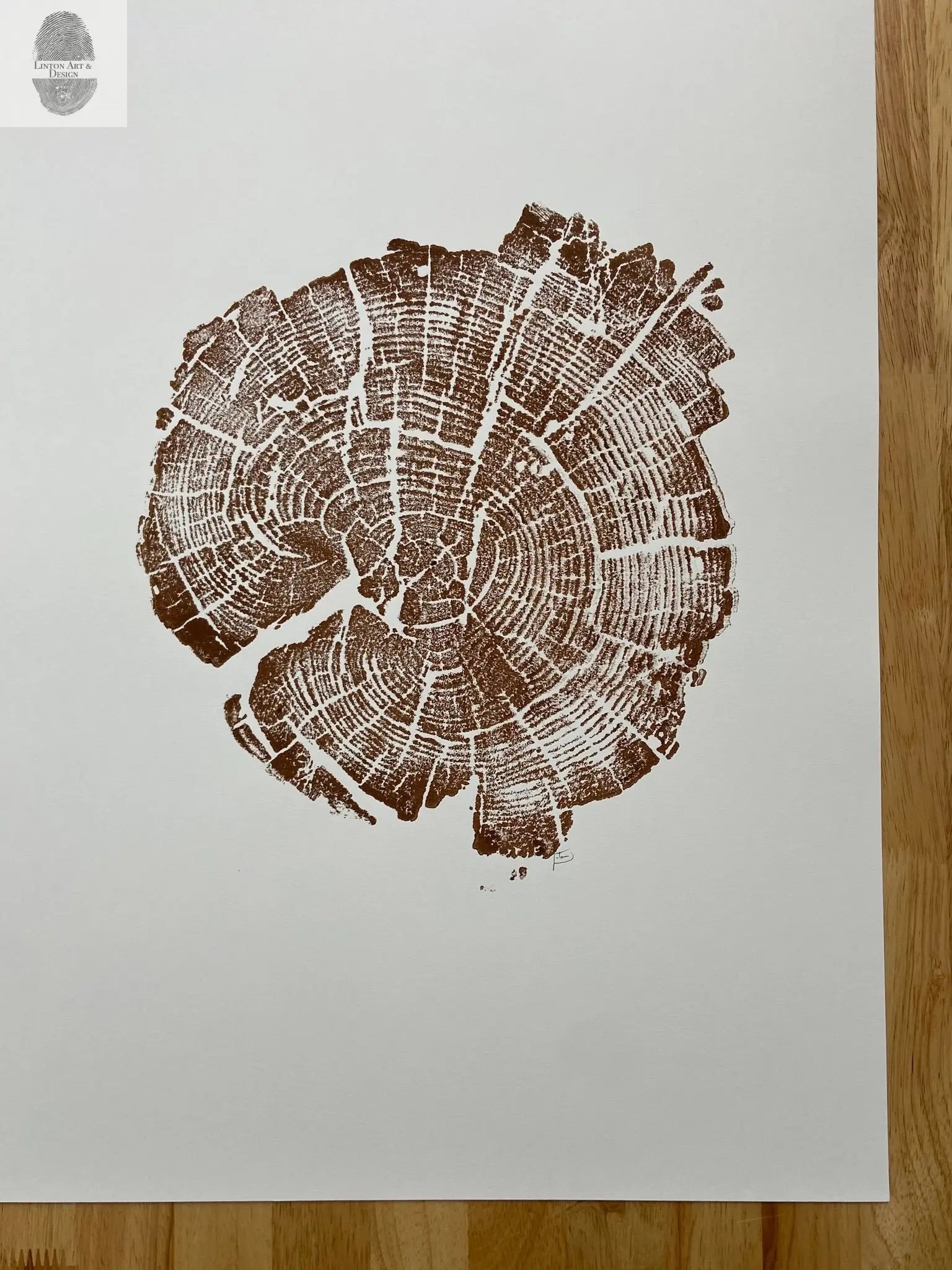Yellowstone Tree Ring Print in Brown Ink, 11x14 inches, Hand Pressed Woodblock. Signed Original