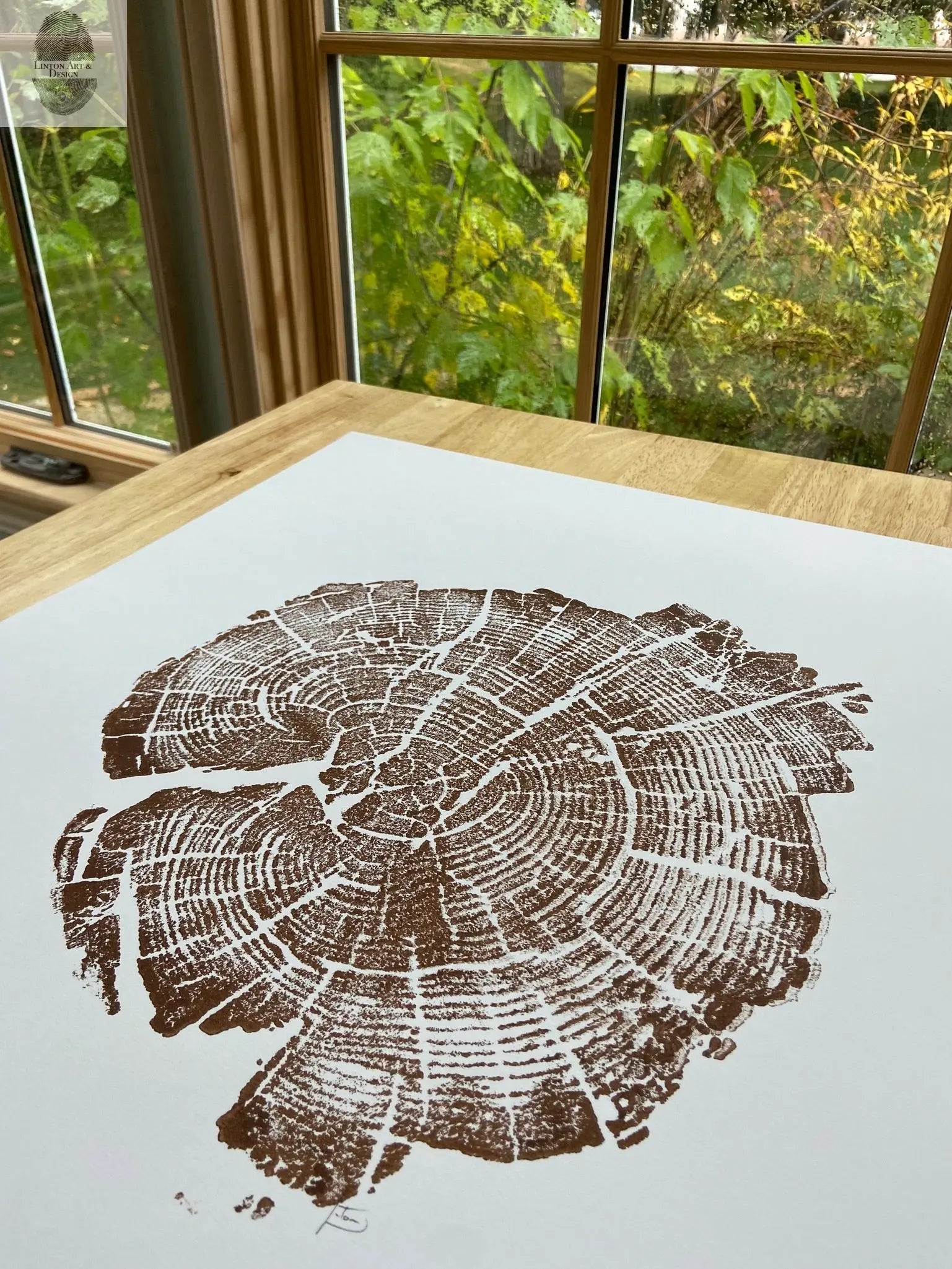 Yellowstone Tree Ring Print in Brown Ink, 11x14 inches, Hand Pressed Woodblock. Signed Original