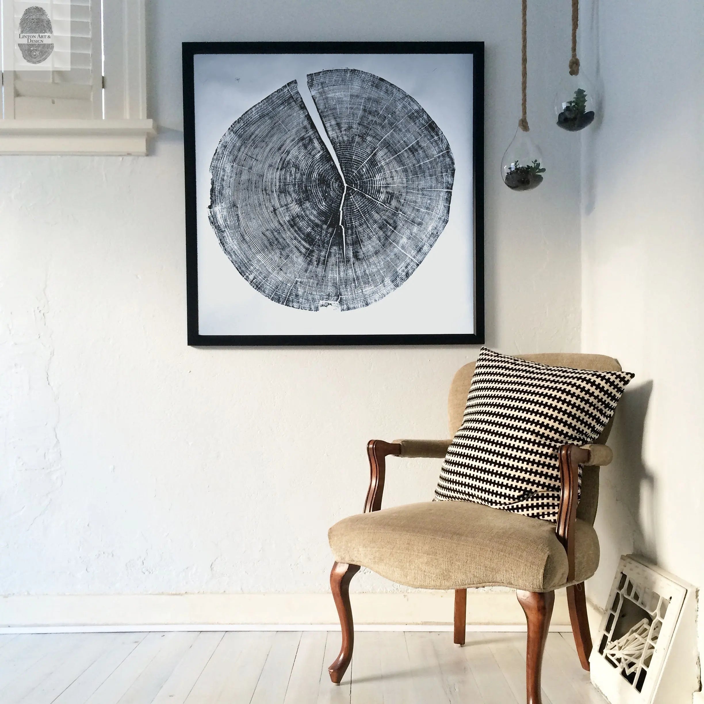 Yosemite National Park, California Pine - 36x36 print