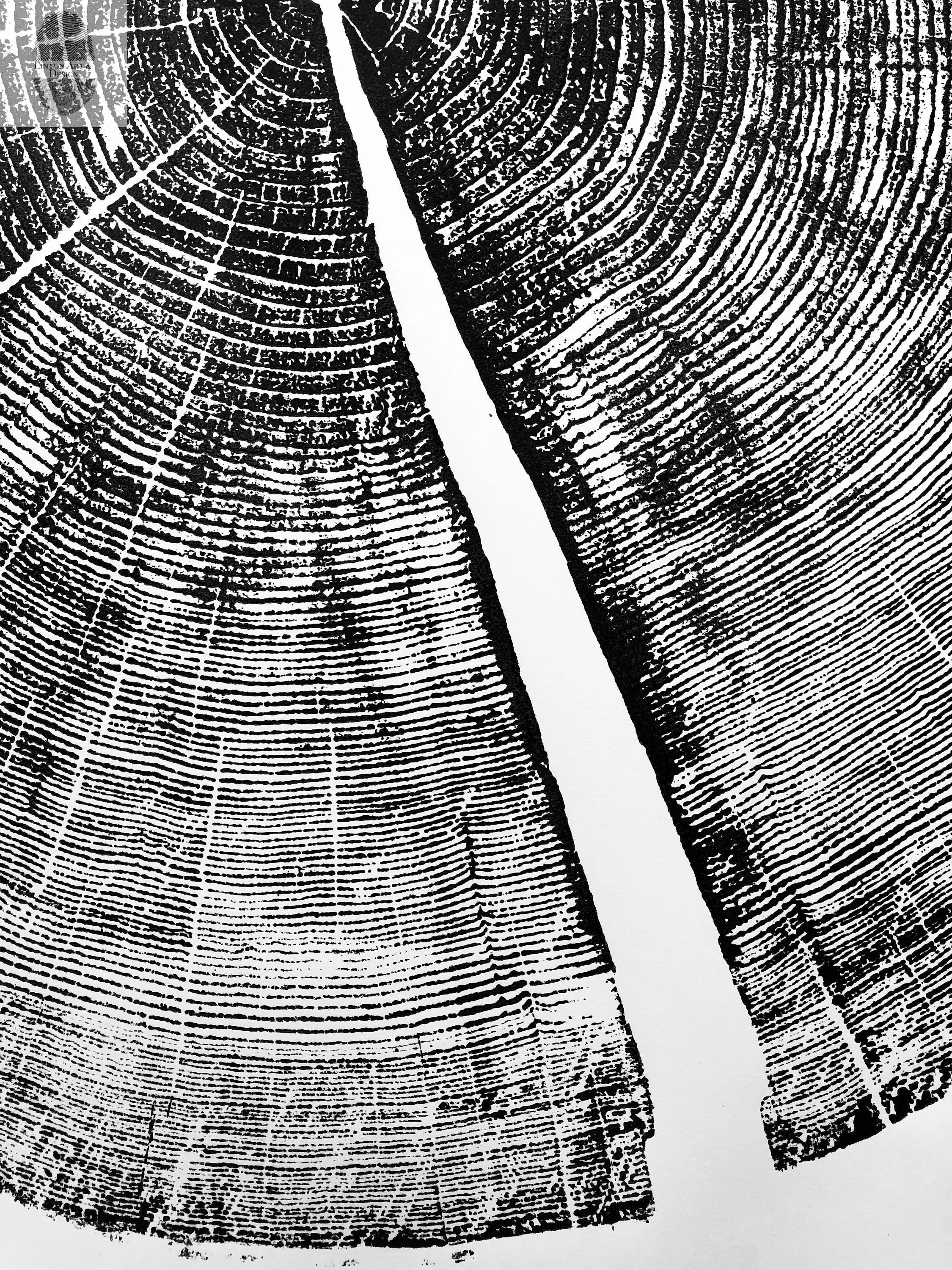 Yosemite National Park, California Pine - 36x36 print