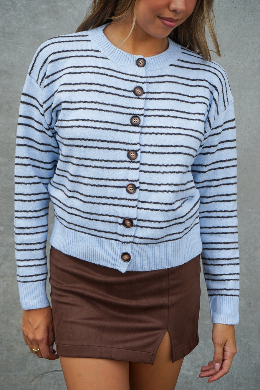 baby blue sweater cardigan with brown horizontal stripes.