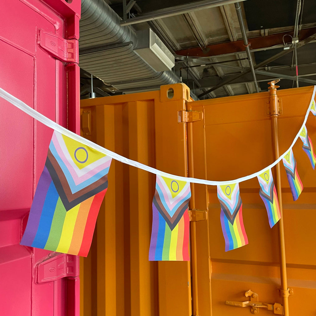 Fill your space with pride with this 18ft bunting complete with 12 pride flags. The flags are concentrated in the middle so you have ample string on either side to secure the bunting to any attachment point! Perfect for any party or just as house decor.