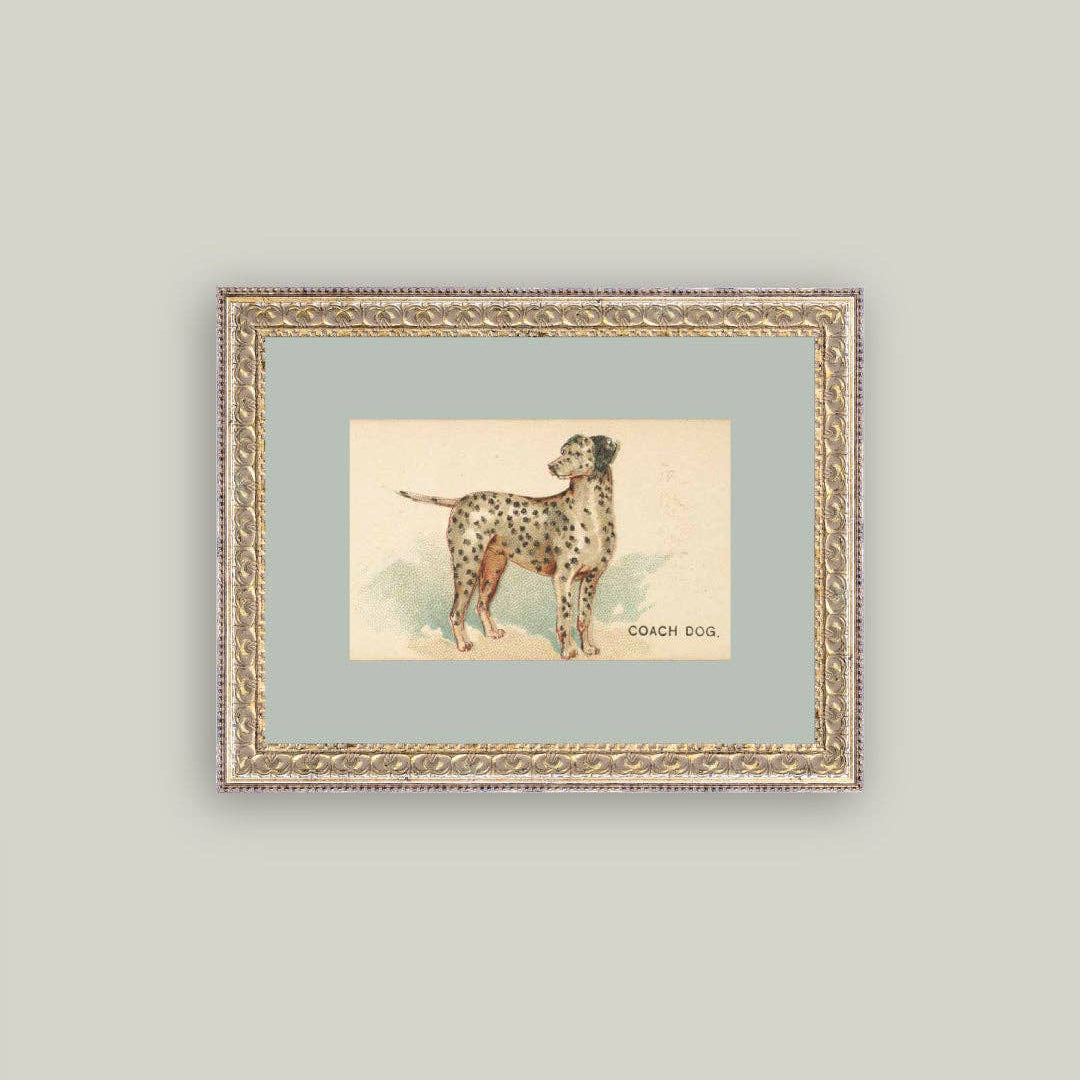 Celebrate classic charm with this Dalmatian Framed Antique Art. Featuring a timeless depiction of a Dalmatian, it adds nostalgic warmth and character to any space. The antique finish enhances its vintage appeal, making it a perfect supportive piece for dog lovers and art enthusiasts alike.

Details:

8” x 10”
Artwork Material: Printed on premium canvas fabric for a lasting, textured finish.
Measurement reflects the outside dimensions of the frame.
Frame Details: Handcrafted ornate frame adds classic charm.