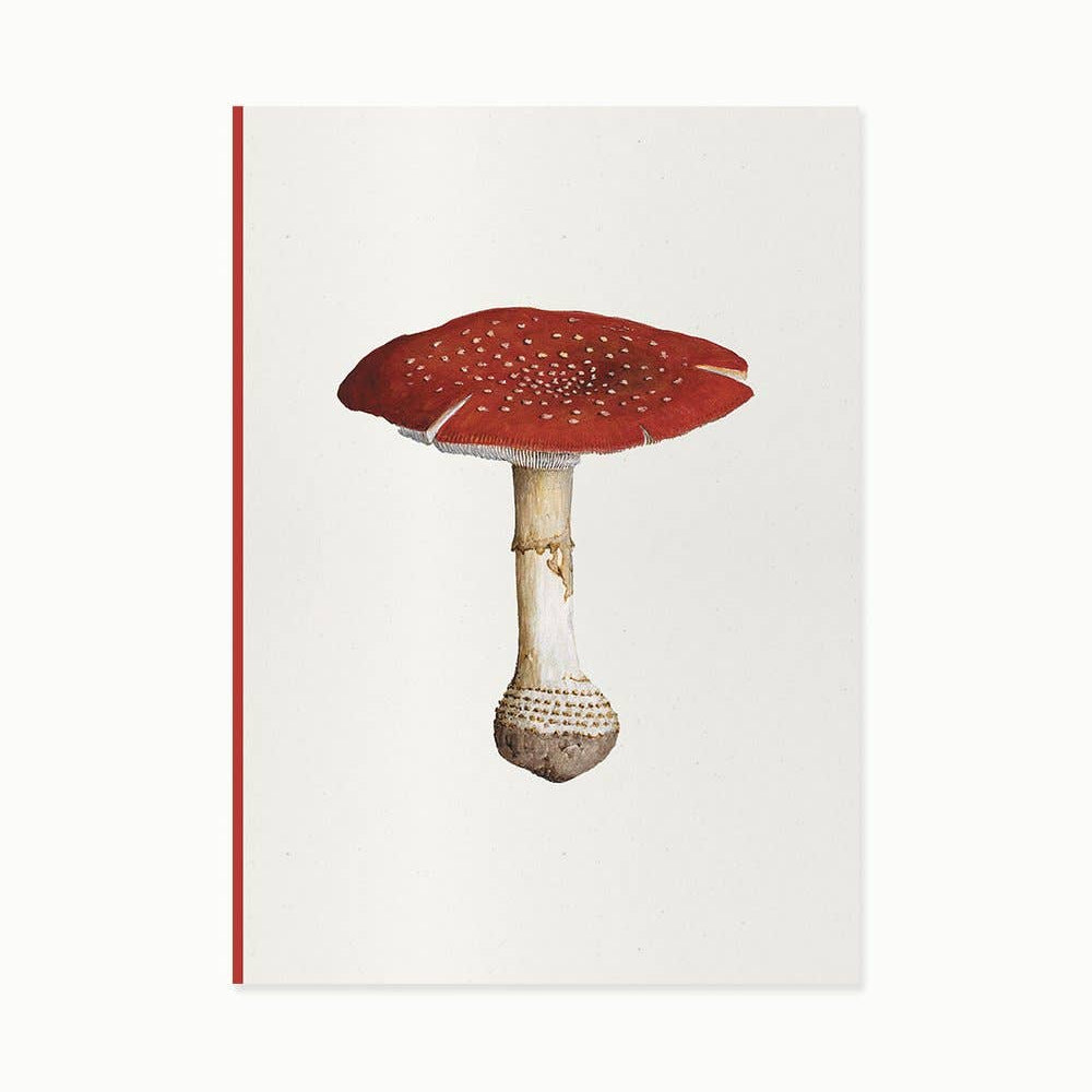 Fungi Journal Collection: Amanita Muscaria