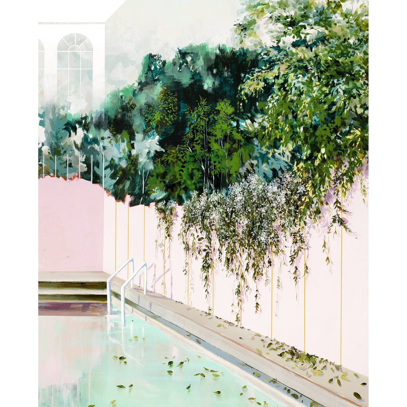 greenery creeping down a wall towards a pool. 