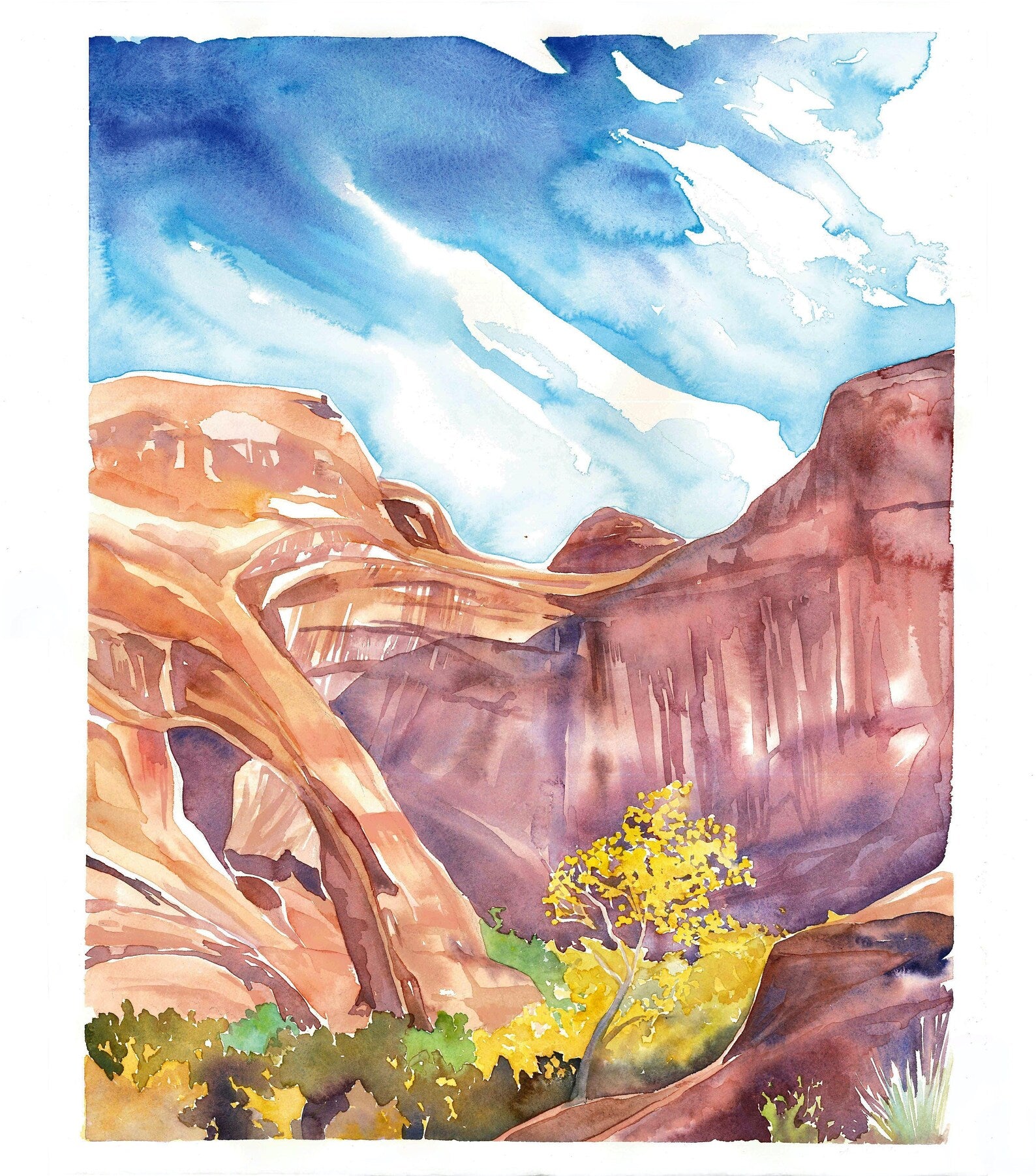 Coyote Gulch Print