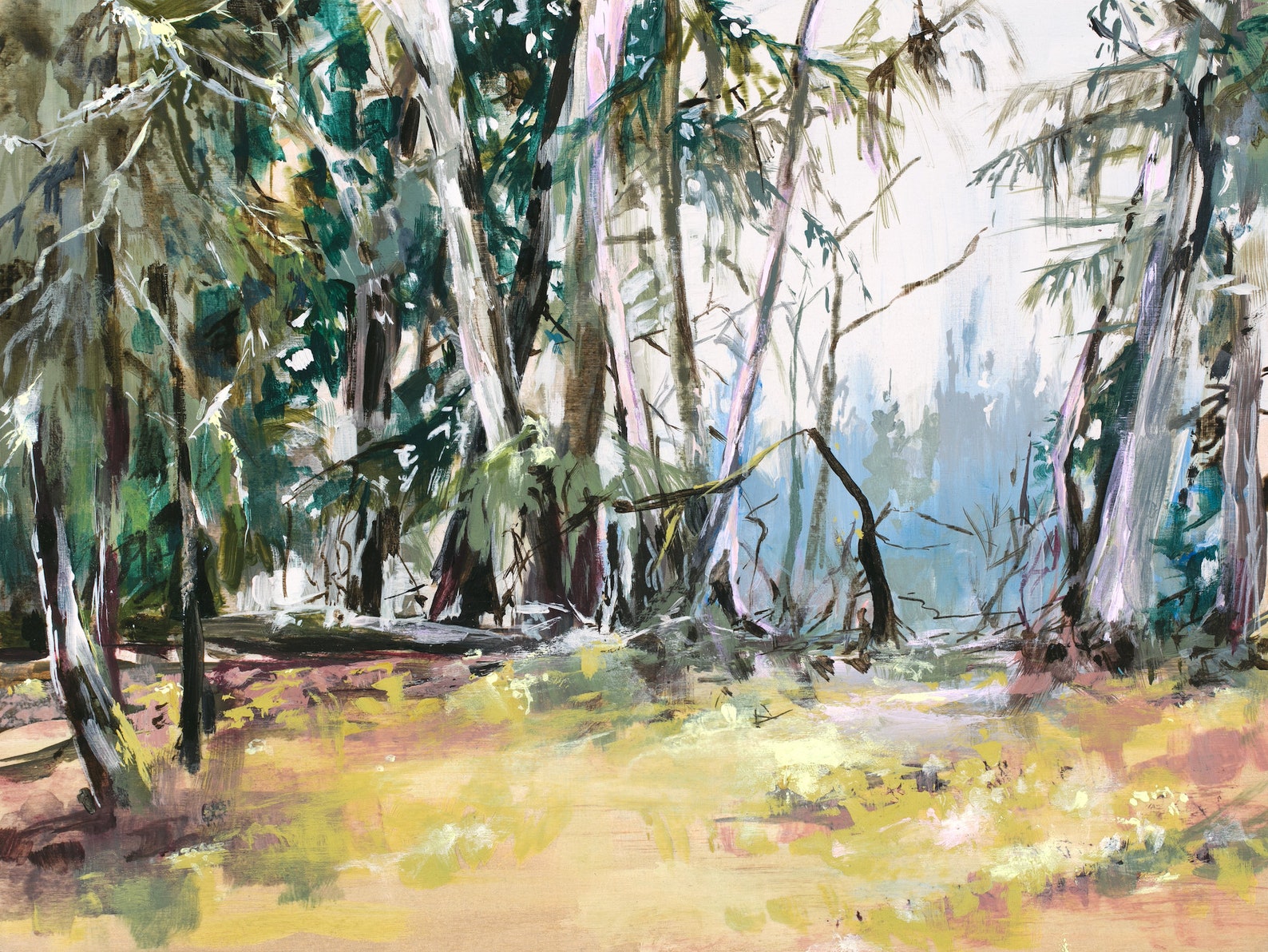 forest scene with scraggly trees and warm green shrubby grass. 