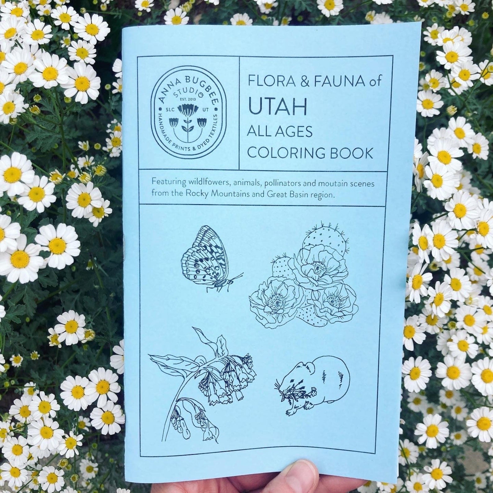 Anna Bugbee Studio Coloring Book
