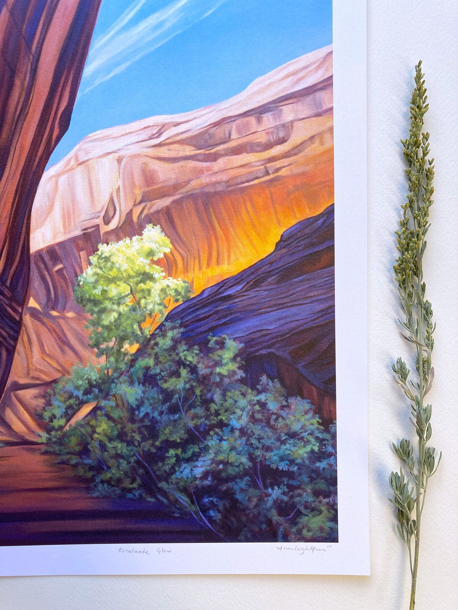 Escalante Glow Print