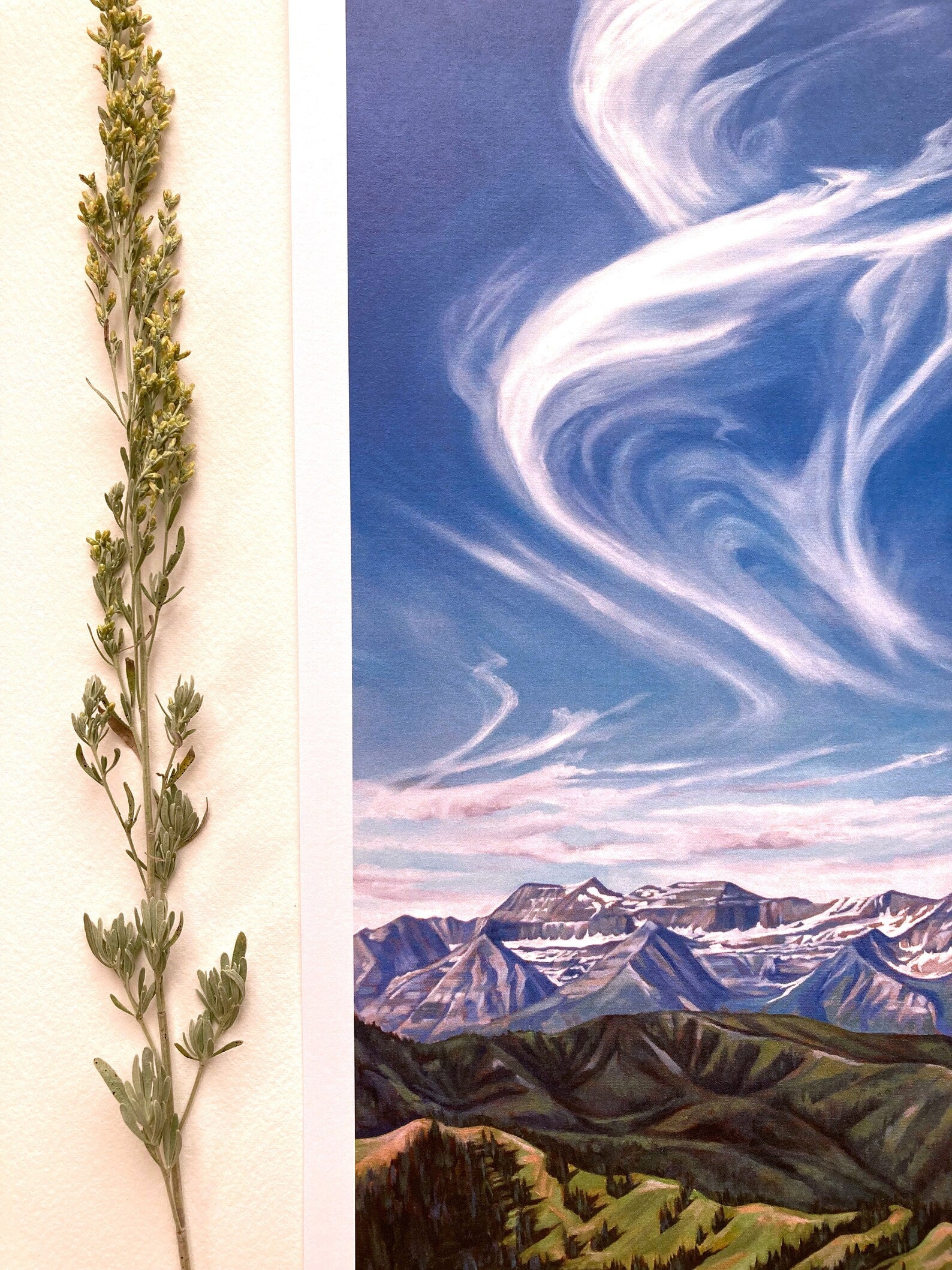 Timpanogos Rising Print
