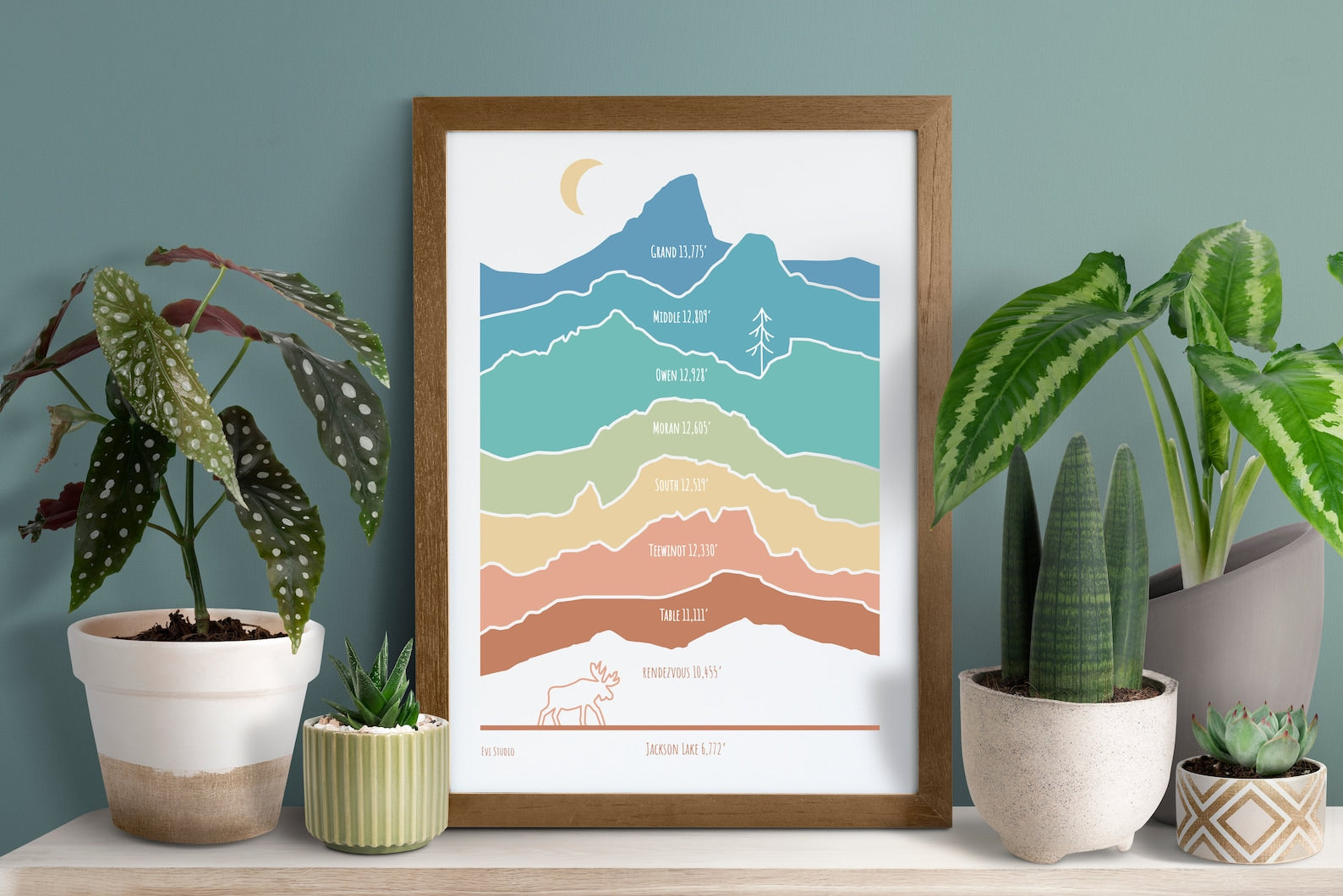 Tetons Mountains Elevations Print