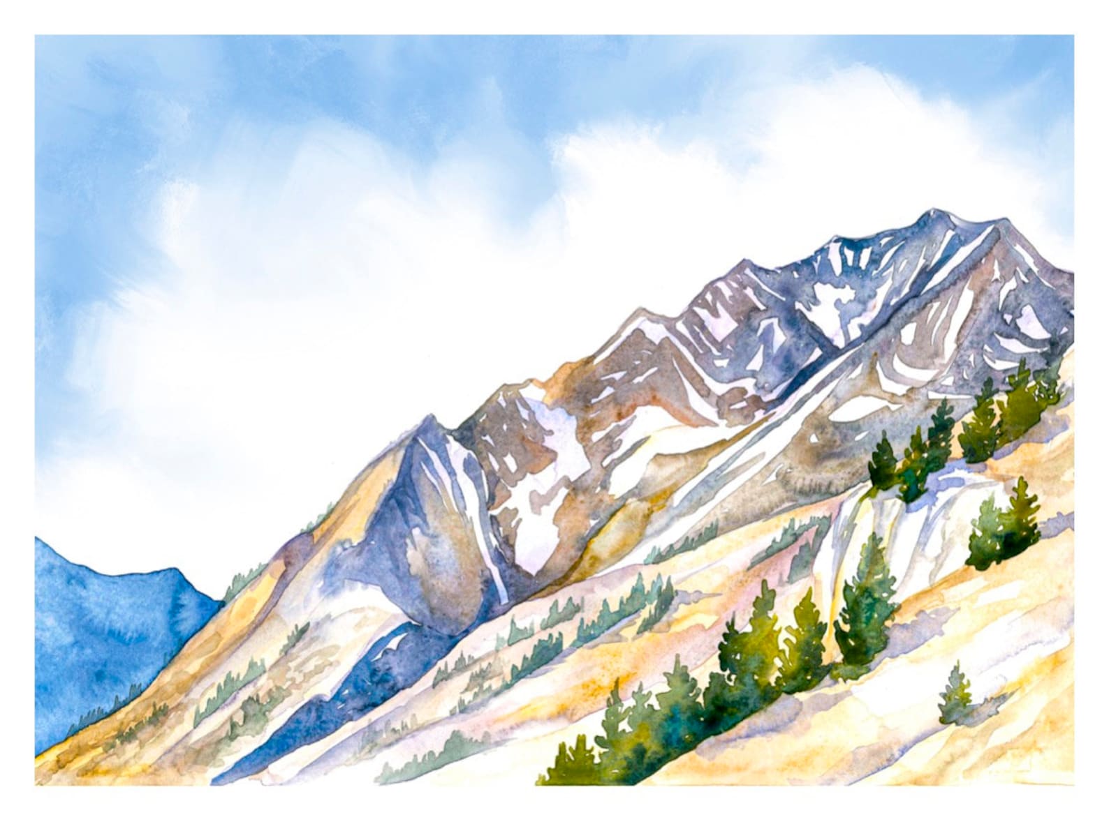 Superior Summer Print