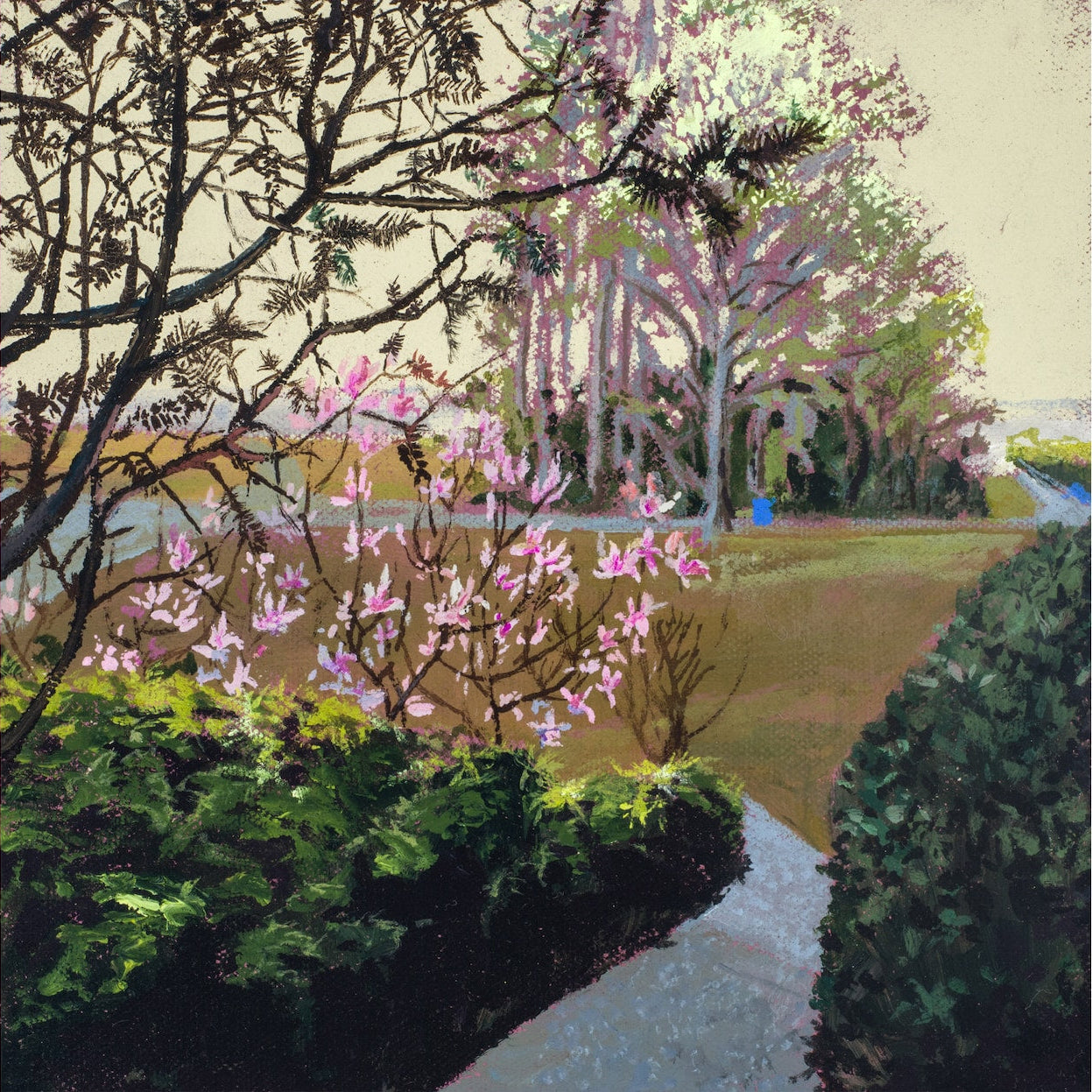 Depicts a garden scene with towering trees in the background, and a grey footpath moving around shrubs and magnolia trees. 