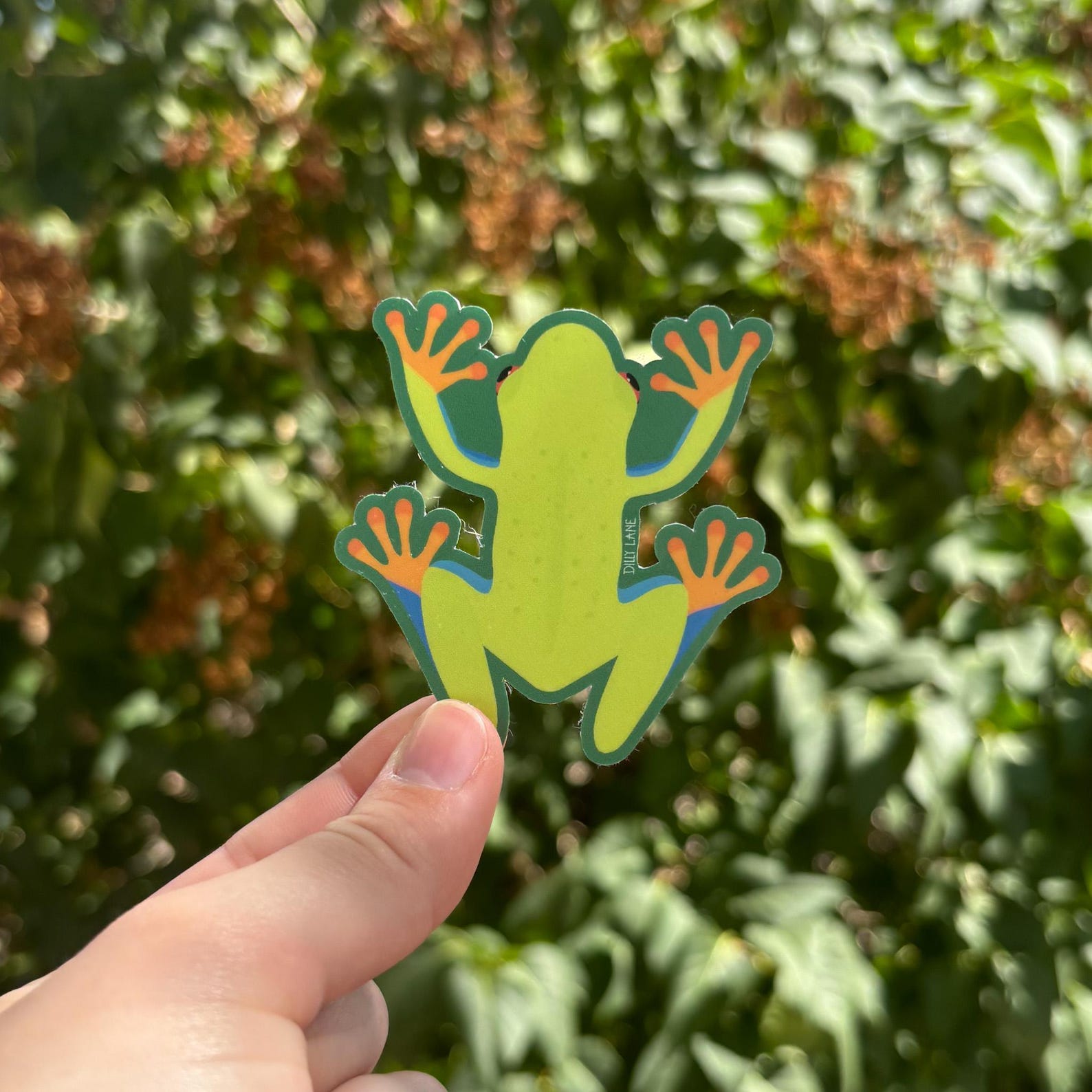 red-eyed tree frog sticker with a dark green outline
Width: 2.45 inches