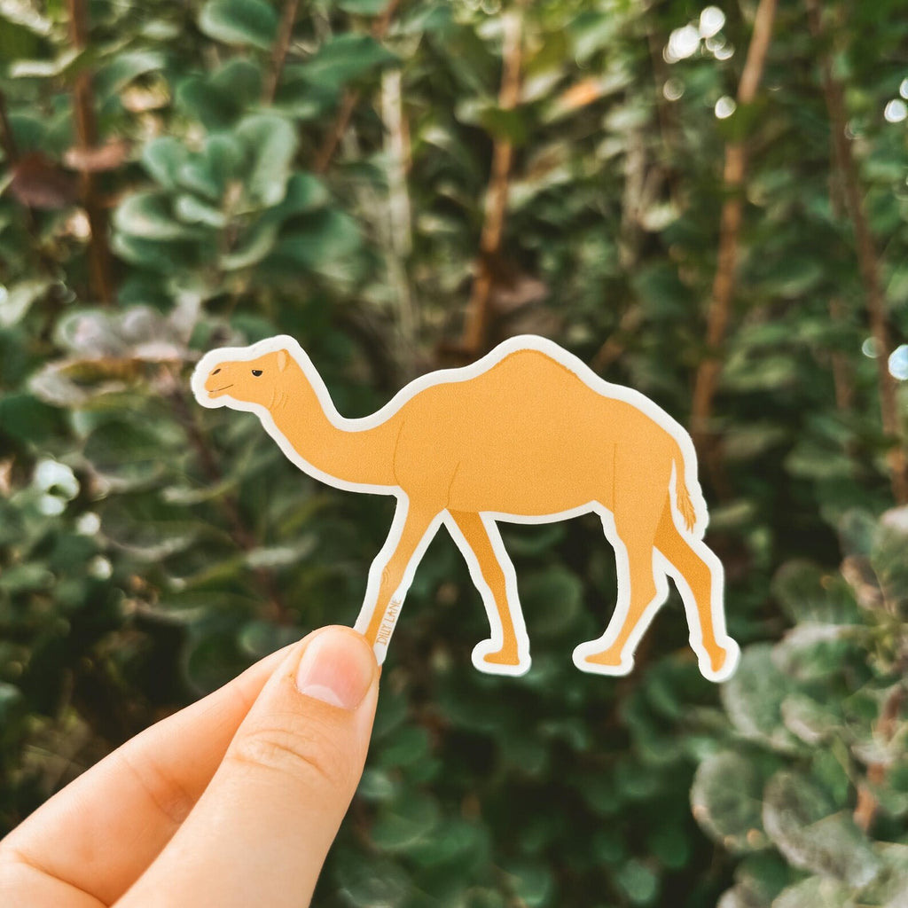 tan camel sticker
Width: 3.45 inches
Height: 2.25 inches
