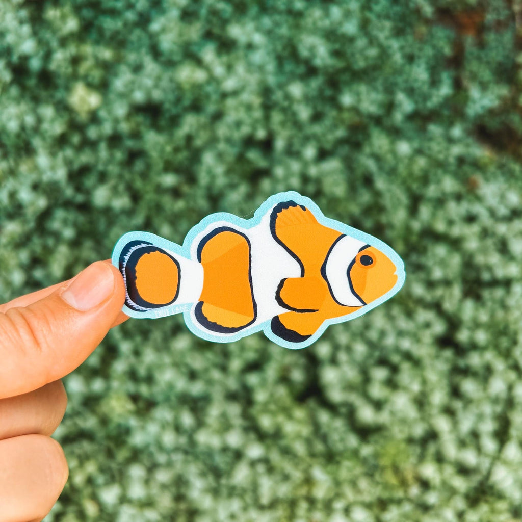 vibrant clown fish sticker with a baby blue outline
Width: 2.8 inches
Height: 1.5 inches