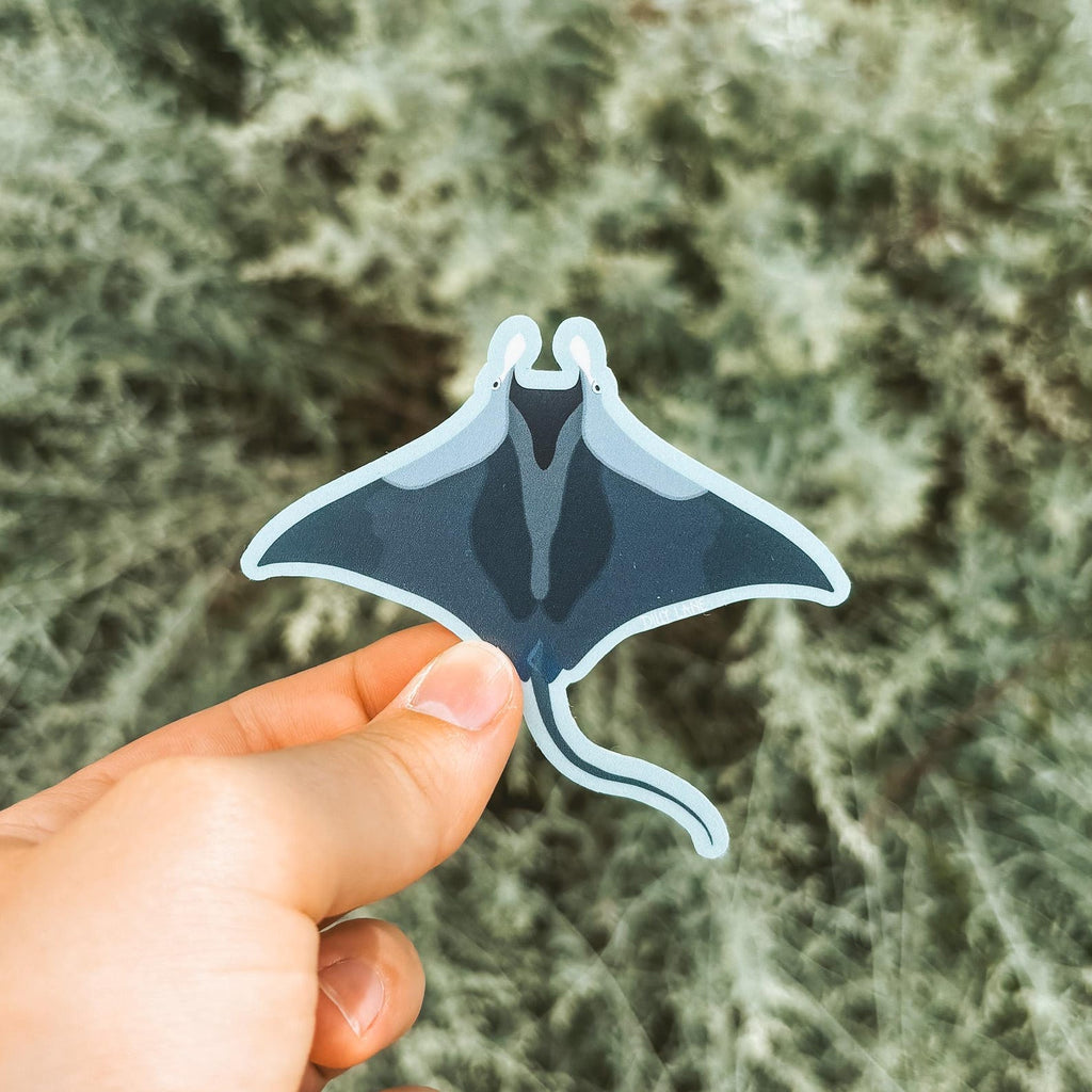 manta ray sticker with baby blue outline
Width: 3.15 inches
Height: 2.75 inches