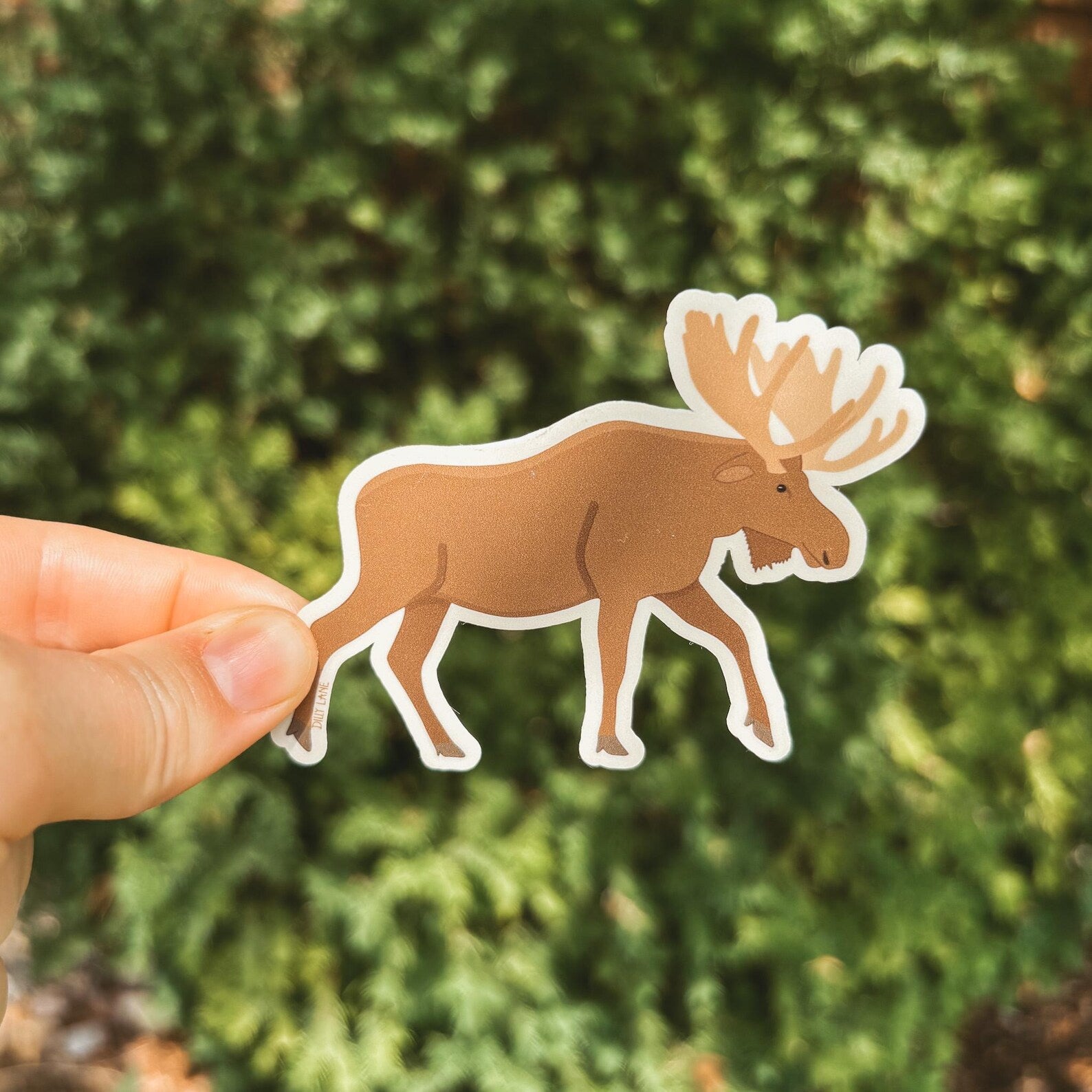 moose sticker
Width: 3.25 inches
Height: 2.5 inches