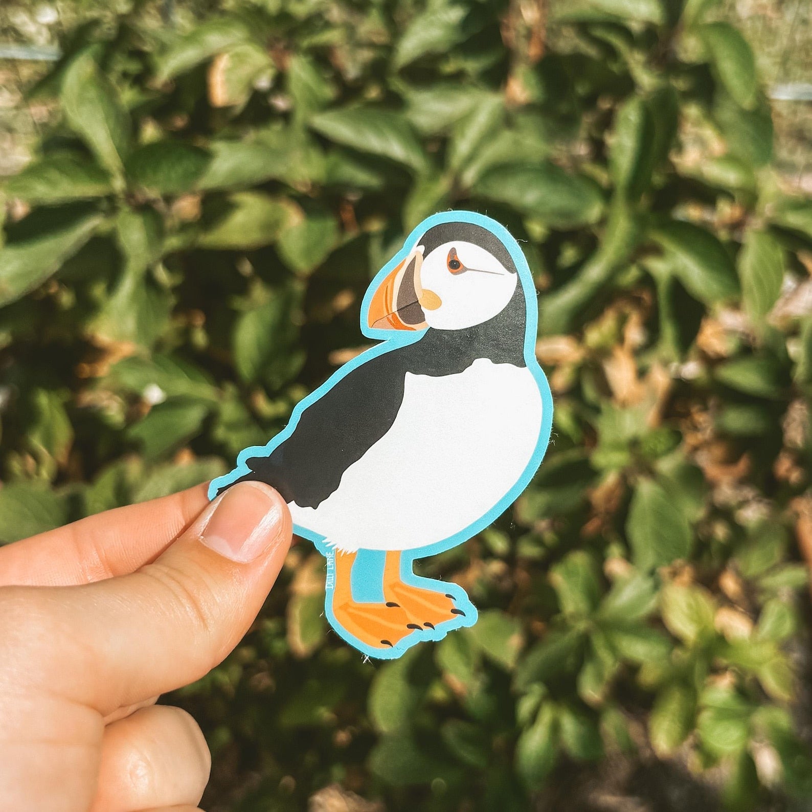 adorable puffin sticker with a blue outline
Width: 2.3 inches
Height: 3 inches