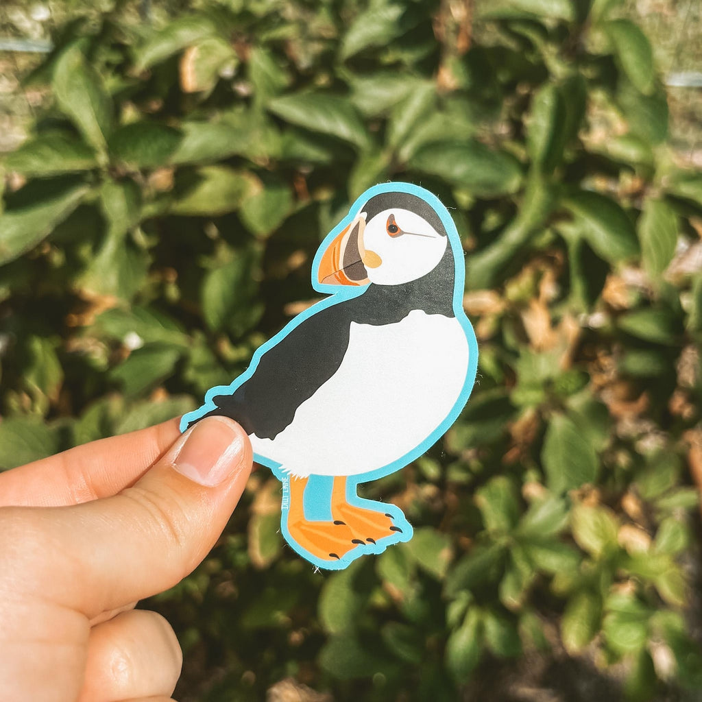 adorable puffin sticker with a blue outline
Width: 2.3 inches
Height: 3 inches