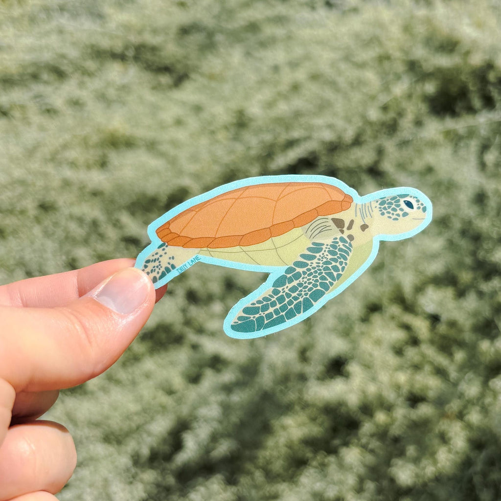 sea turtle sticker with blue outline
Width: 3 inches
Height: 1.65 inches