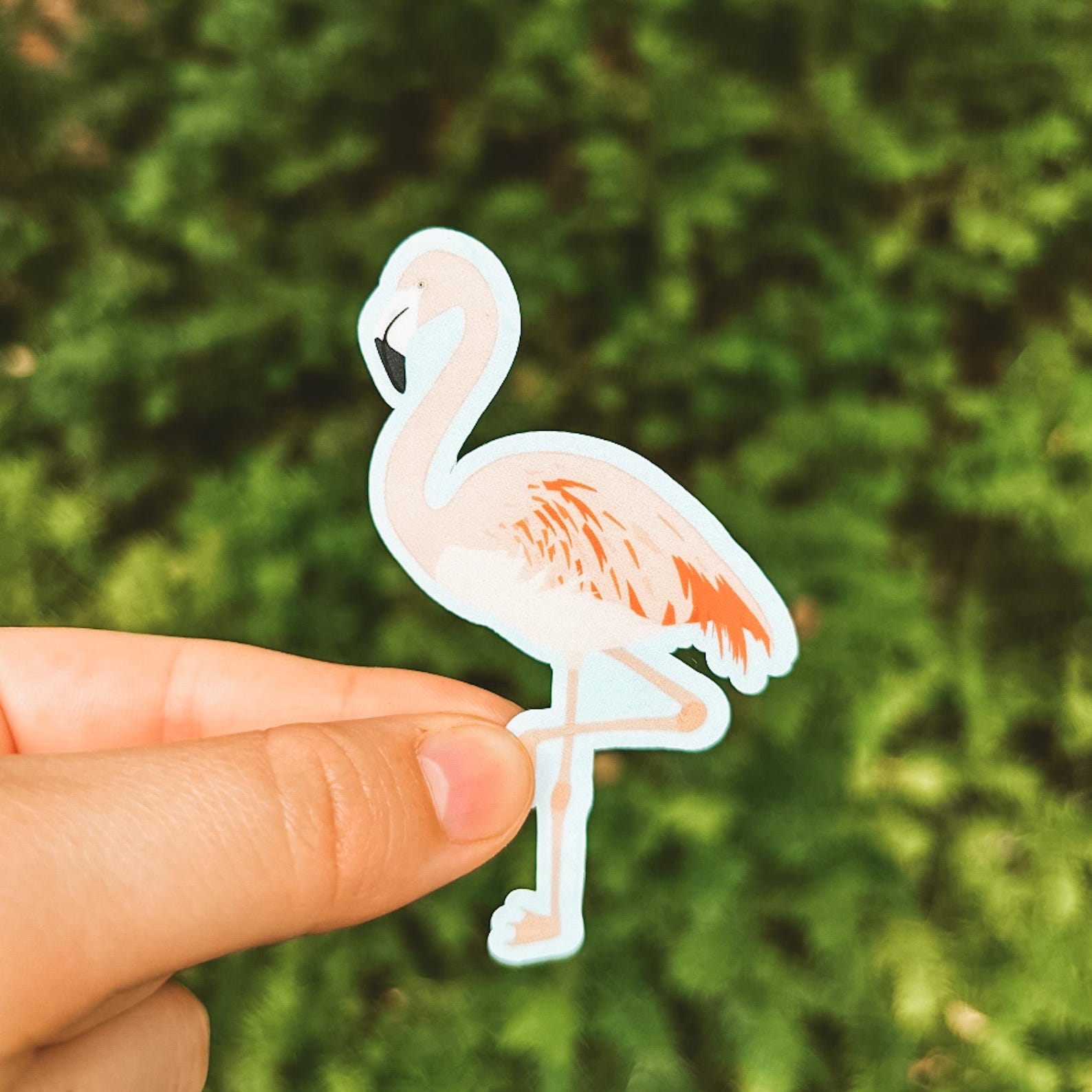 vibrant flamingo sticker with baby blue outline
Width: 1.8 inches
Height: 3 inches