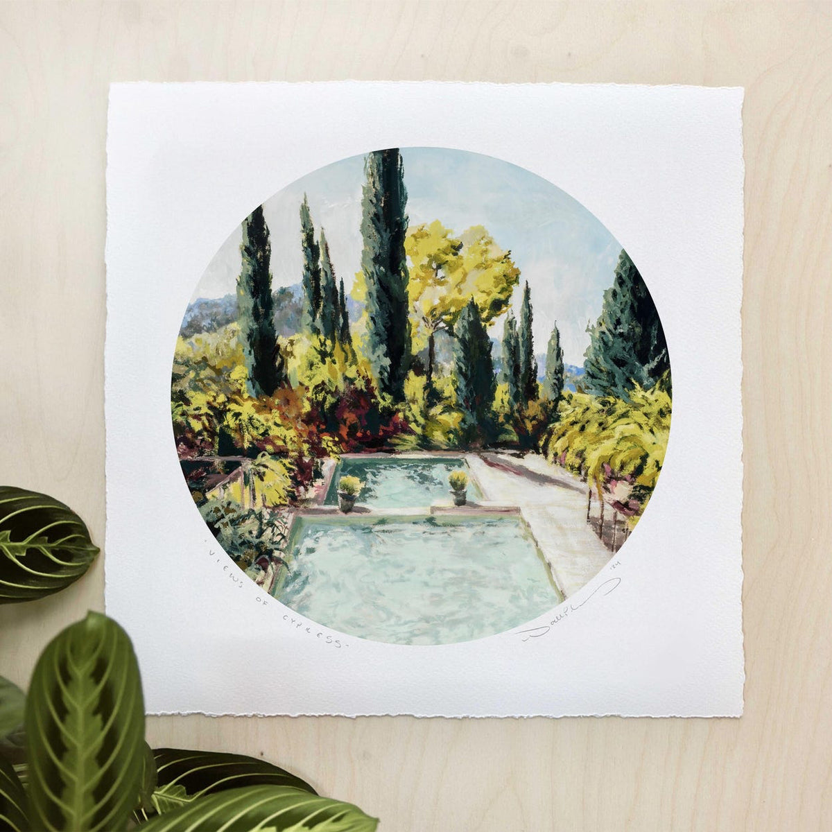 Serene crystal waters in a pristine pool surrounded by lush trees and bushes. 