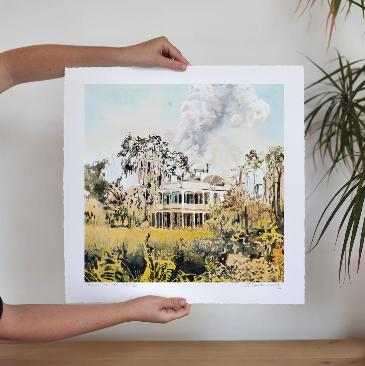 Large stately house with lots of yellow green foliage. 