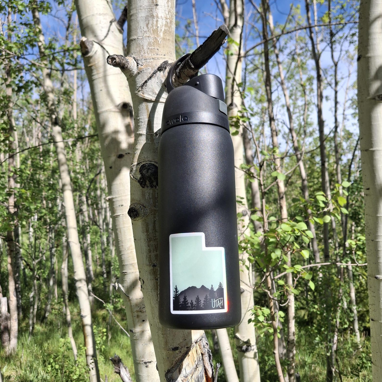 Utah Wasatch Mountain Sticker