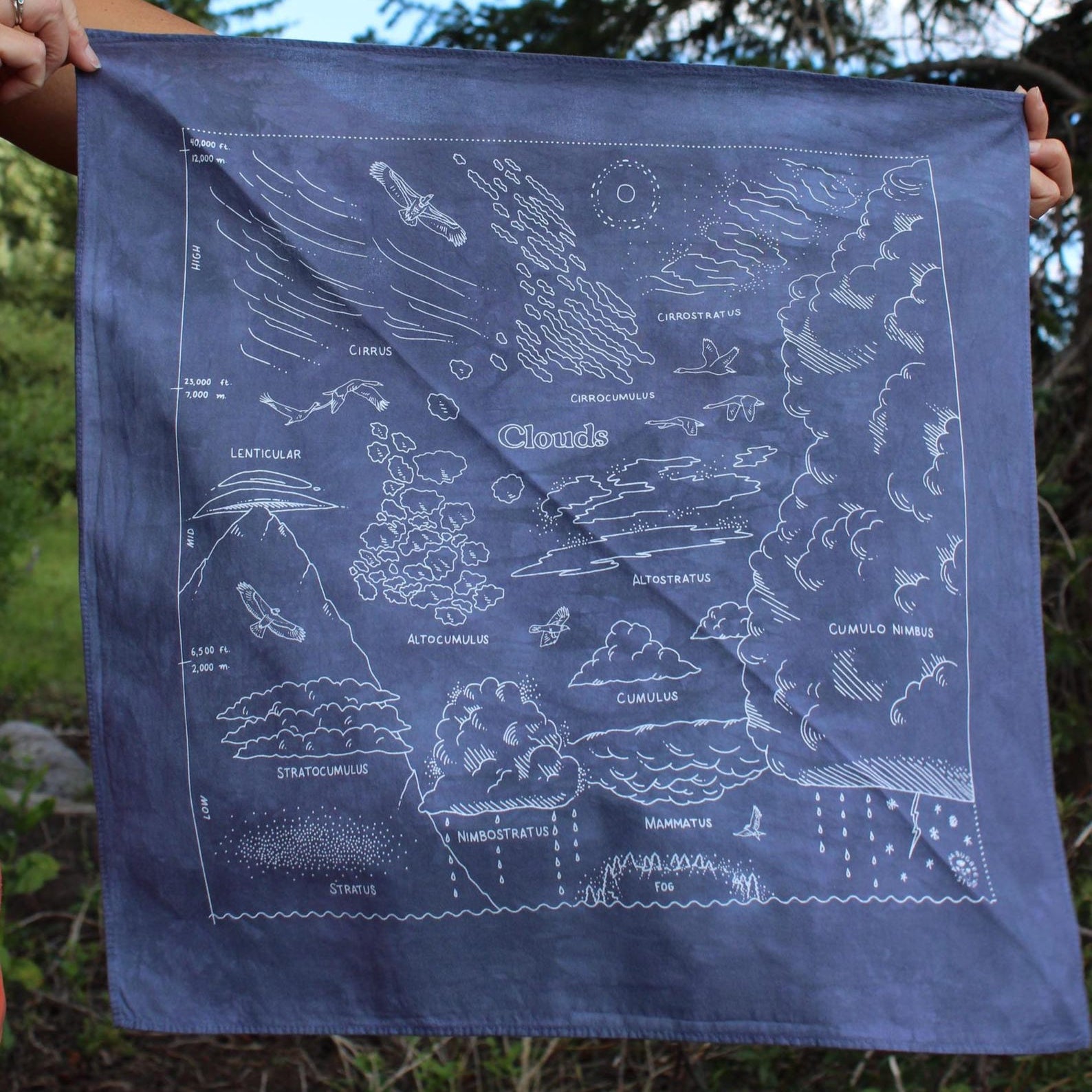 Cloud Bandana