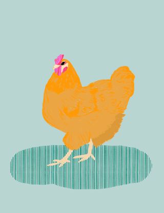 Chickenleigh Print