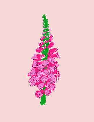 Digitalis Print