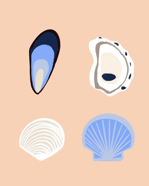 Seashells Print
