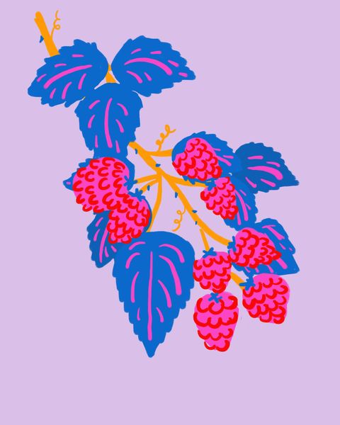 Raspberries Print