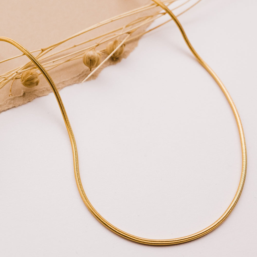 Snake Chain Necklaces