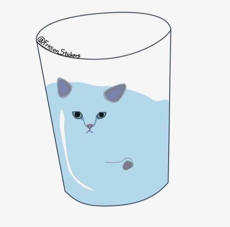 Cat Sticker's - Frission Sticker's