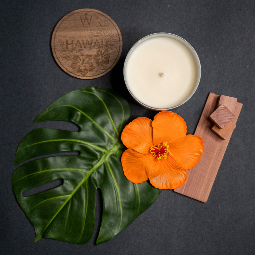 Wanderlust Candles - Waypoint Goods