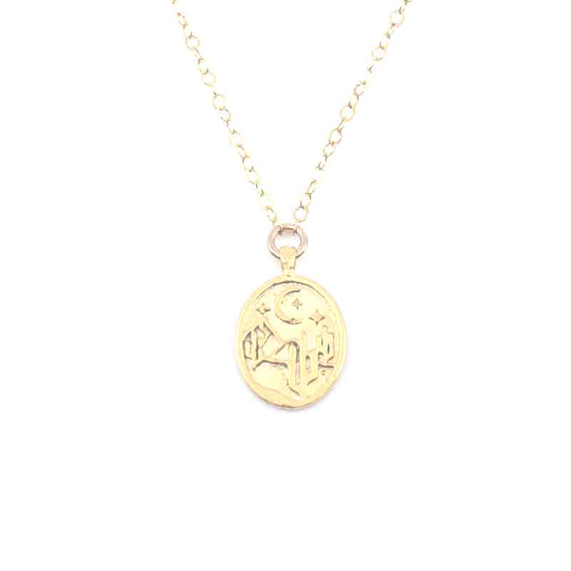 Cactus in the Desert Night Charm Necklace